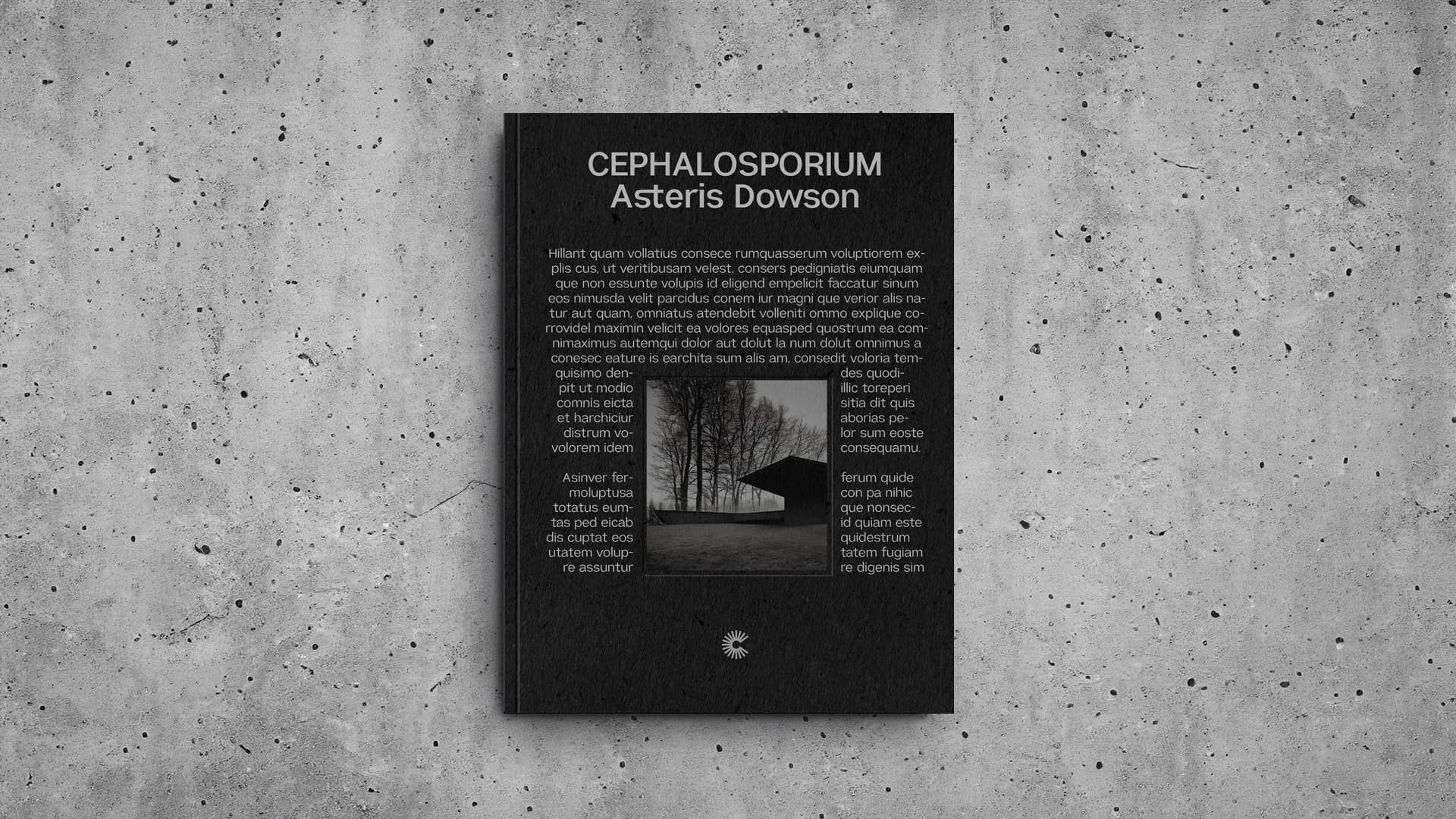 Imagen adaptada para todas las orientaciones