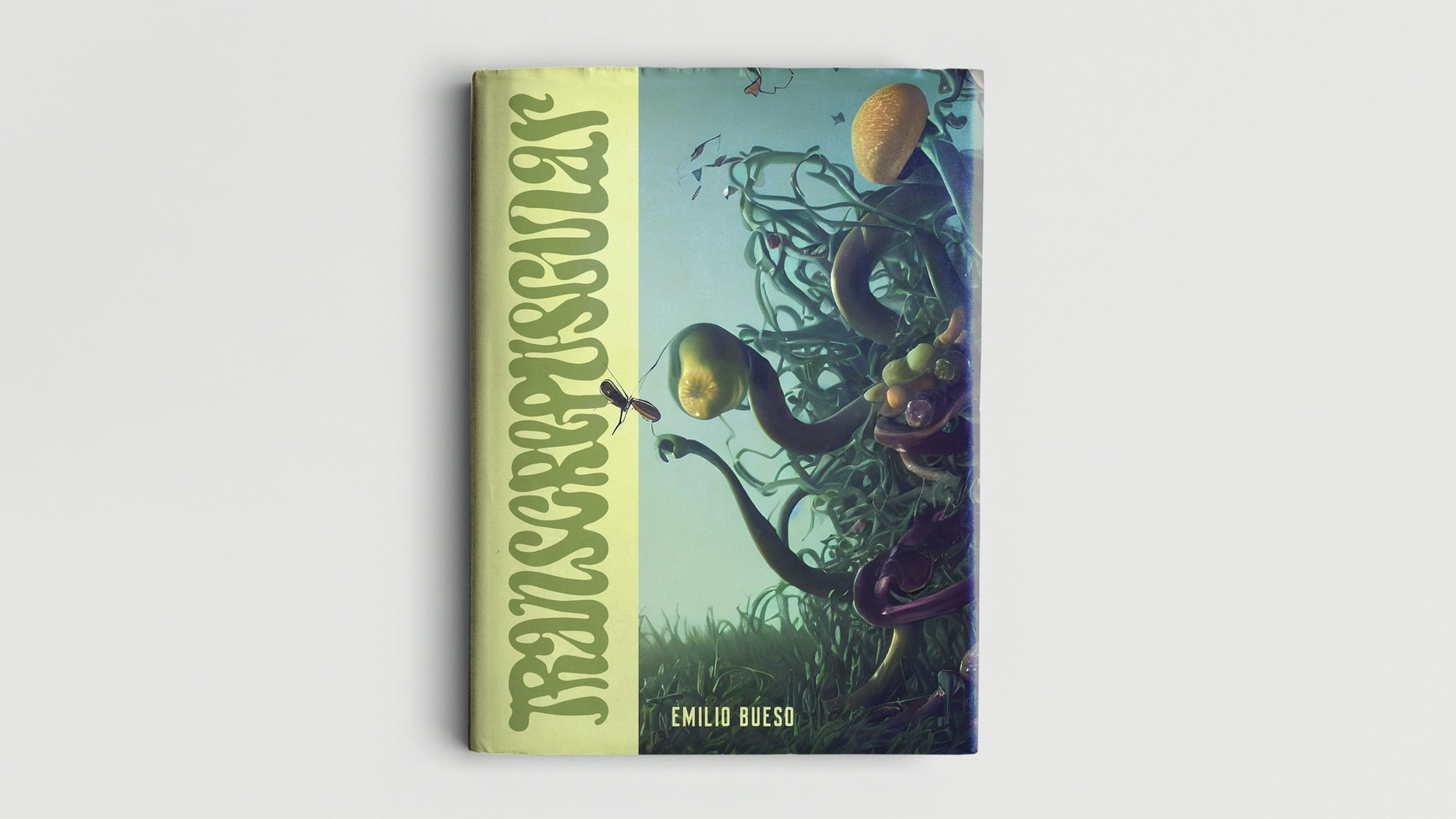 Imagen adaptada para todas las orientaciones